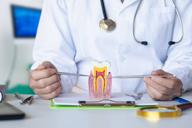 Best Emergency Cosmetic Dentistry (e.g., broken veneers) in Port Gibson, MS